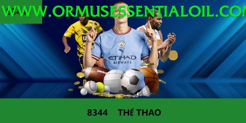 Cá Cược Thể Thao - Trải nghiệm tuyệt vời